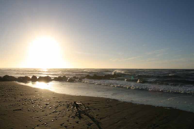 Nieuw-Zeeland 2011 - 1333